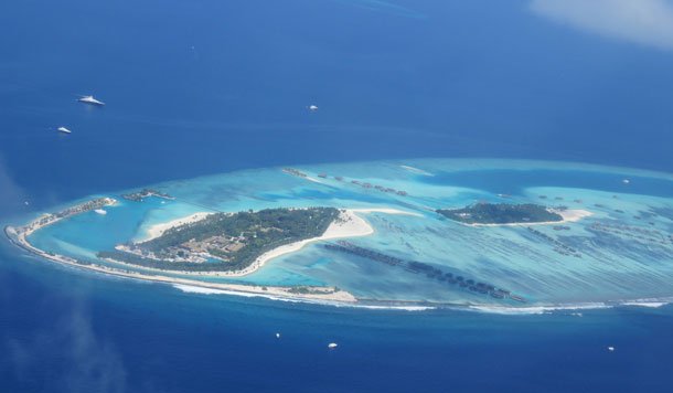 Oasis de vie découverte aux Maldives